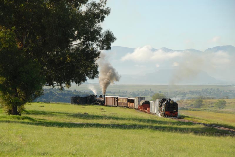 SA3_0203.jpg